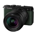 Panasonic Lumix S9 + 20-60 F3,5-5,6 green