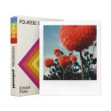 Polaroid Color Film per SX-70 Paul Giambarba Edition