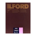 Ilford 24x30 Multigrade RC Warmtone 1M